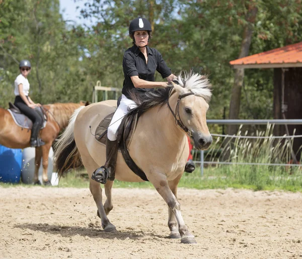 Ridflicka och häst — Stockfoto