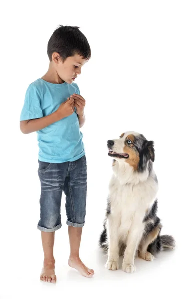 Criança e cão — Fotografia de Stock