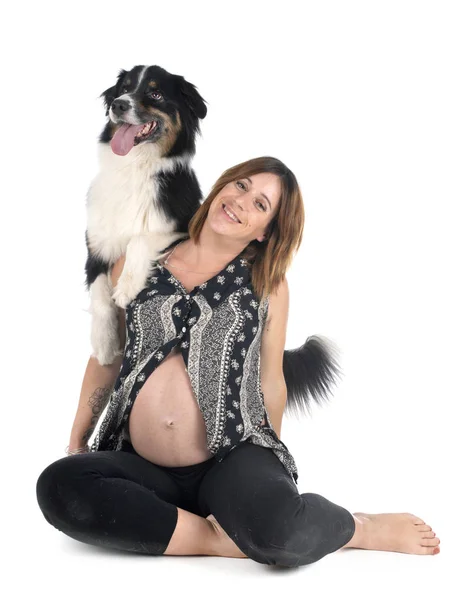 Mujer embarazada y perro — Foto de Stock