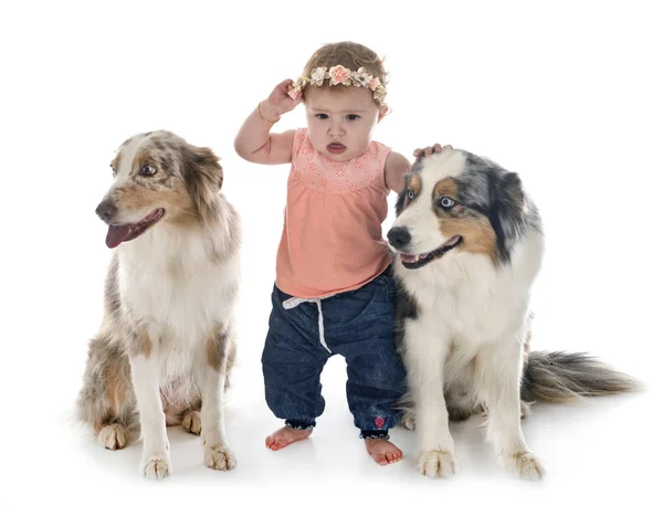孩子和狗 — 图库照片