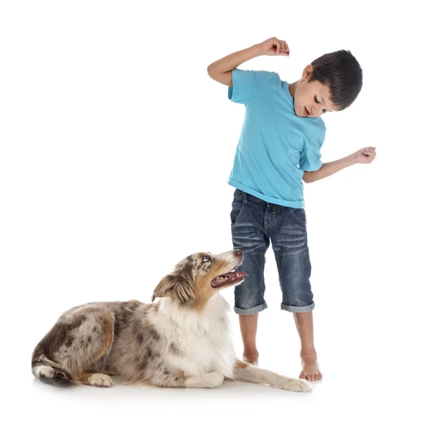 Ребенок и собака — стоковое фото