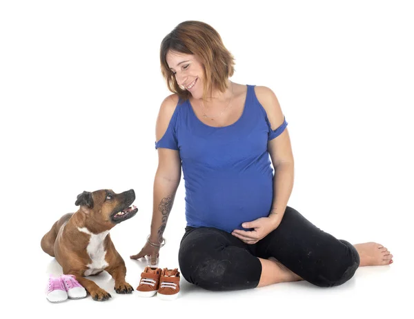 New dog knotting woman Stock Photos, Royalty Free New dog knotting ...