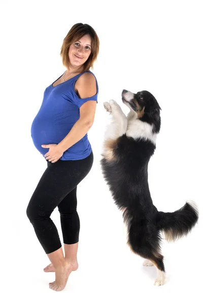 Έγκυος γυναίκα και το σκυλί — Φωτογραφία Αρχείου