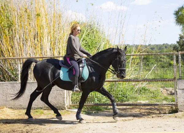 Ridflicka och häst — Stockfoto