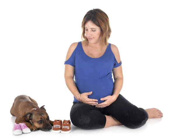 Mujer embarazada y perro — Foto de Stock