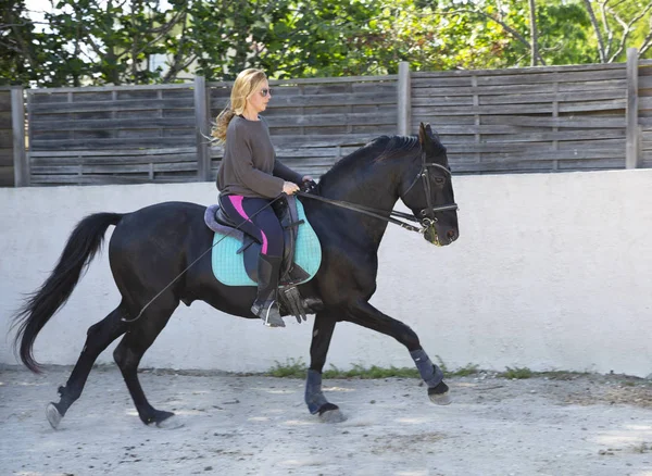 Equitação menina e cavalo — Fotografia de Stock