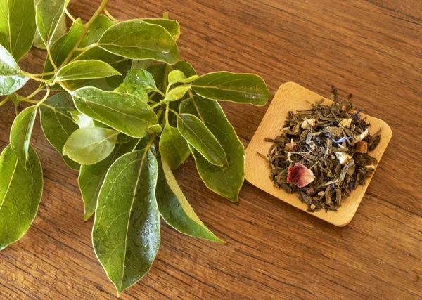 tea and tea plant