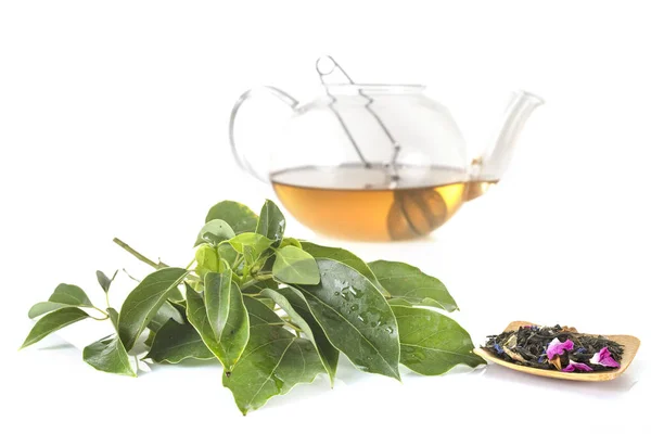 Чай и альтернативная медицина — стоковое фото