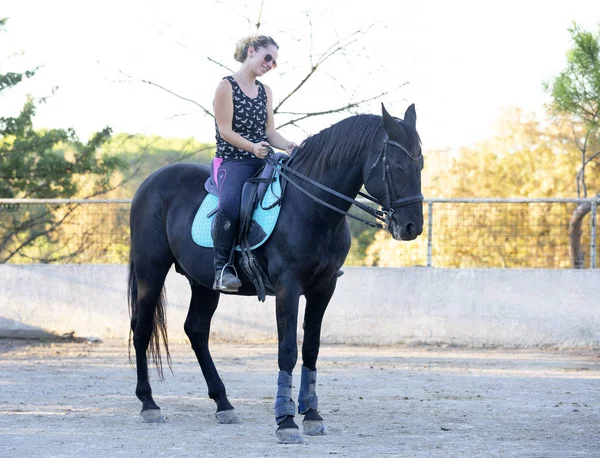 Riding girl and horse — Stock Photo, Image