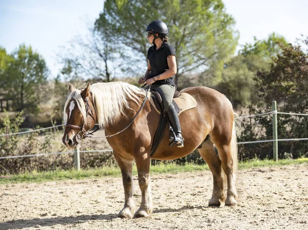 Equitação menina e comtois cavalo — Fotografia de Stock
