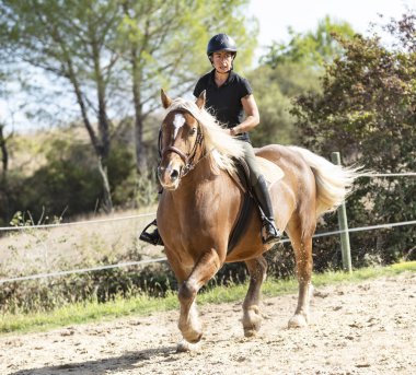 Binici kız ve komando at.