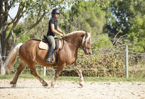 Equitação menina e comtois cavalo — Fotografia de Stock