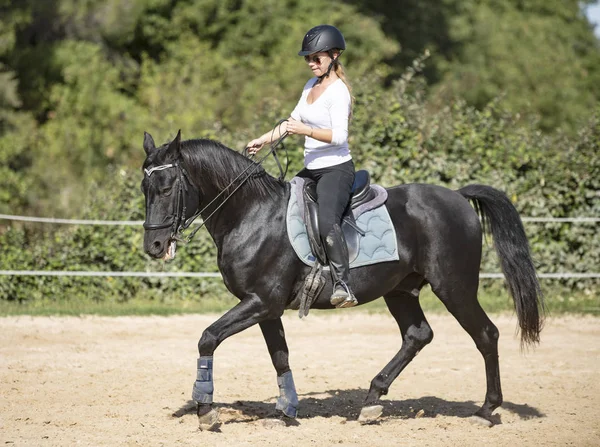 Paardrijden meisje en paard — Stockfoto
