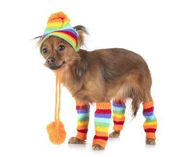 Russkiy Oyuncak stüdyoda