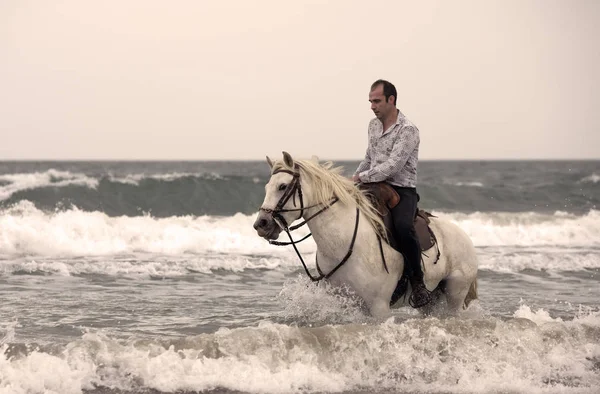 Equitazione uomo e cavallo — Foto Stock