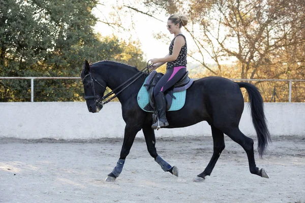 Riding girl and horse — Stock Photo, Image