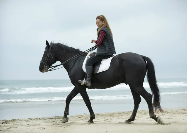 Дівчина верхи і кінь — стокове фото