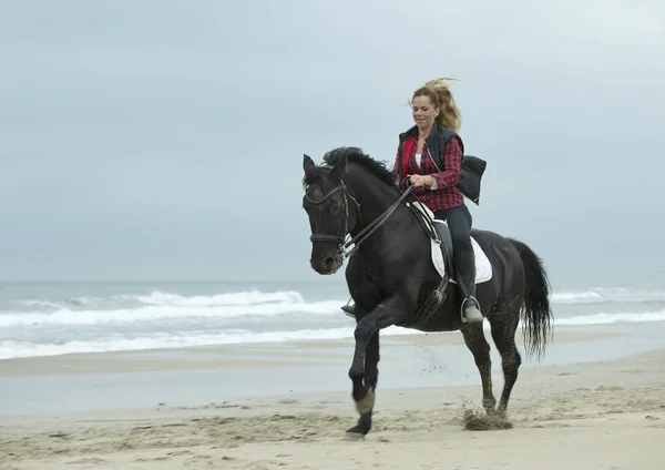 Equitação menina e cavalo — Fotografia de Stock