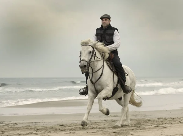 Ridende mann og hest – stockfoto