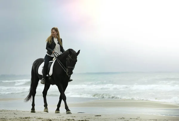 Reiterin und Pferd — Stockfoto