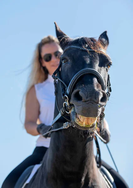 Equitazione Ragazza Sono Formazione Suo Nero Cavallo — Foto Stock