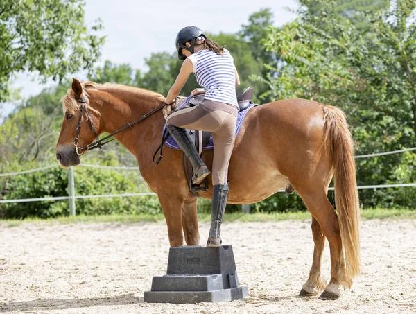 Equitazione Ragazza Sono Formazione Suo Cavallo Nel Centro Equestre — Foto Stock