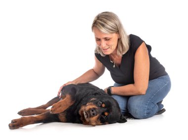 safkan Rottweiler ve beyaz arkaplanın önündeki kadın