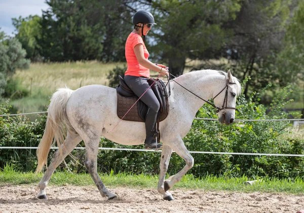 乗馬の女の子は乗馬センターで馬を訓練しています — ストック写真