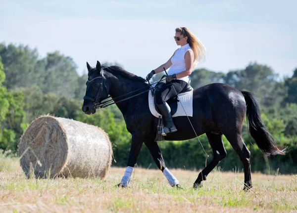 Equitação Menina Estão Treinando Ela Preto Cavalo — Fotografia de Stock