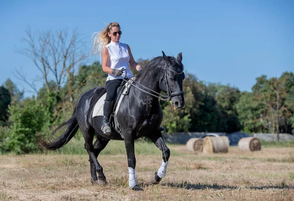 Верховая Девчонка Тренирует Свою Черную Лошадь — стоковое фото