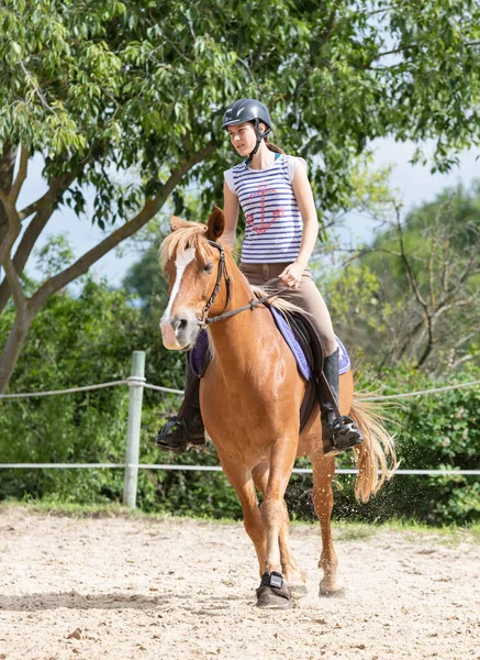 riding girl are training her horse in equestrian center