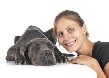 Büyük köpek yavrusu Danua ve beyaz arka plandaki kadın.