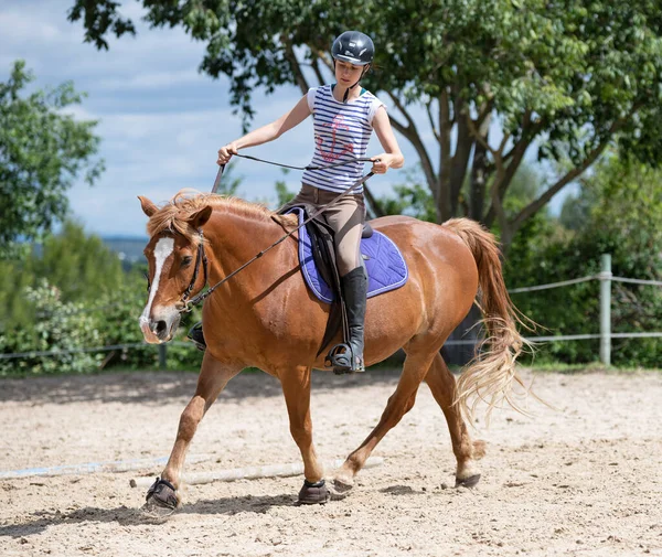 Equitação Menina Estão Treinando Seu Cavalo Equestre Centro — Fotografia de Stock