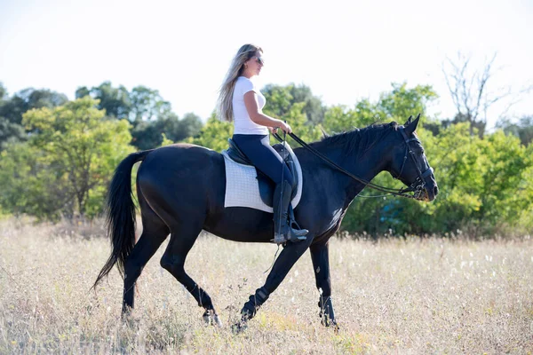 Ridflickan Tränar Sin Svarta Häst — Stockfoto