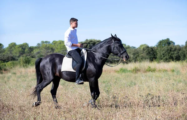 Montar Adolescente Están Entrenando Caballo Negro —  Fotos de Stock