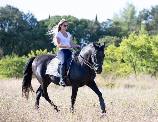 乗馬の女の子は黒い馬を訓練しています — ストック写真