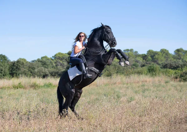 Дівчина Верхи Тренує Свого Чорного Коня — стокове фото