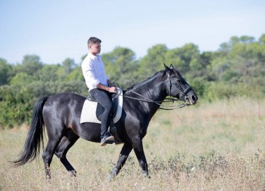  Genç binici siyah atını eğitiyor.