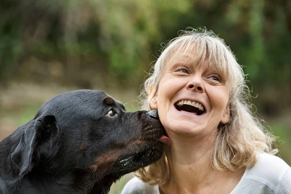 Rottweiler Czystej Krwi Kobieta Przyrodzie Jesienią — Zdjęcie stockowe