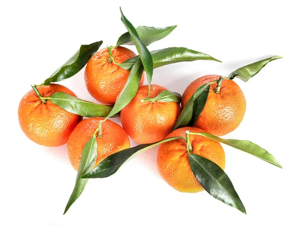 Deliciosa Clementine Frente Fundo Branco — Fotografia de Stock