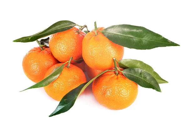 Deliciosa Clementine Frente Fundo Branco — Fotografia de Stock