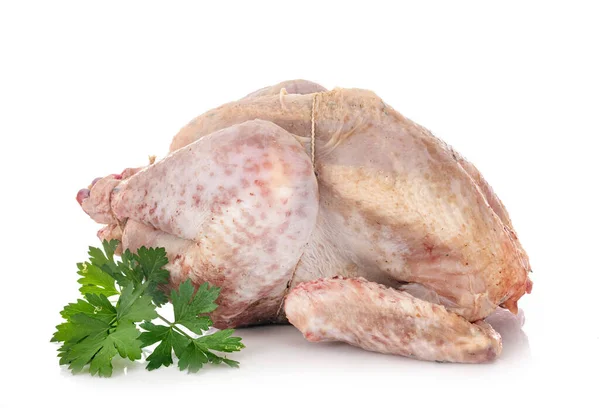 Beyaz Arkaplan Önünde Çiğ Tavuk — Stok fotoğraf