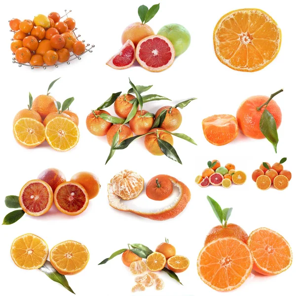 柑橘类水果在白色背景前的组合图片 — 图库照片