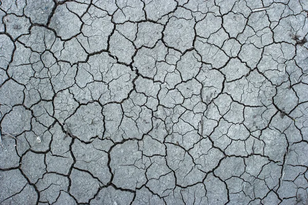 Photo of cracked dry land soil from above Royalty Free Stock Photos