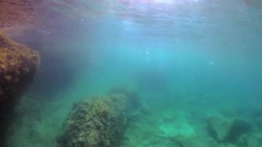 Sualtı detayları Malta Akdeniz