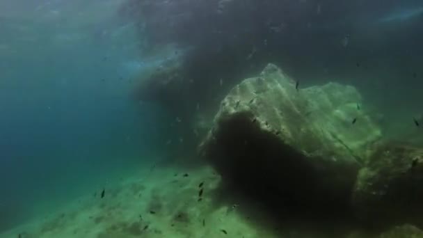 Detalles Submarinos Malta Mar Mediterráneo — Vídeo de stock