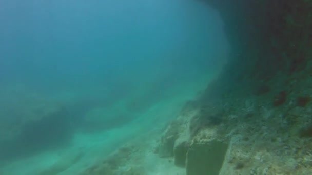 Underwater Details Malta Mediterranean Sea — Stock Video