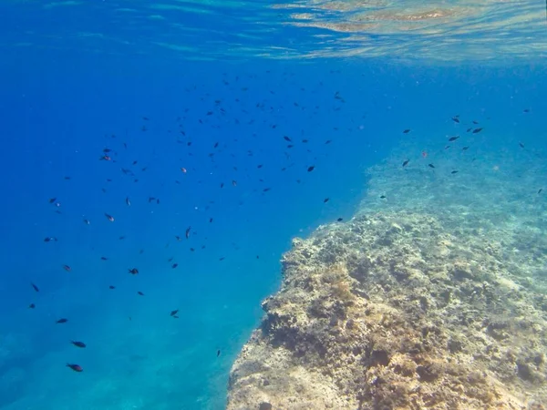 Hermosas Aguas Azules Costa Isla Mediterránea Malta —  Fotos de Stock