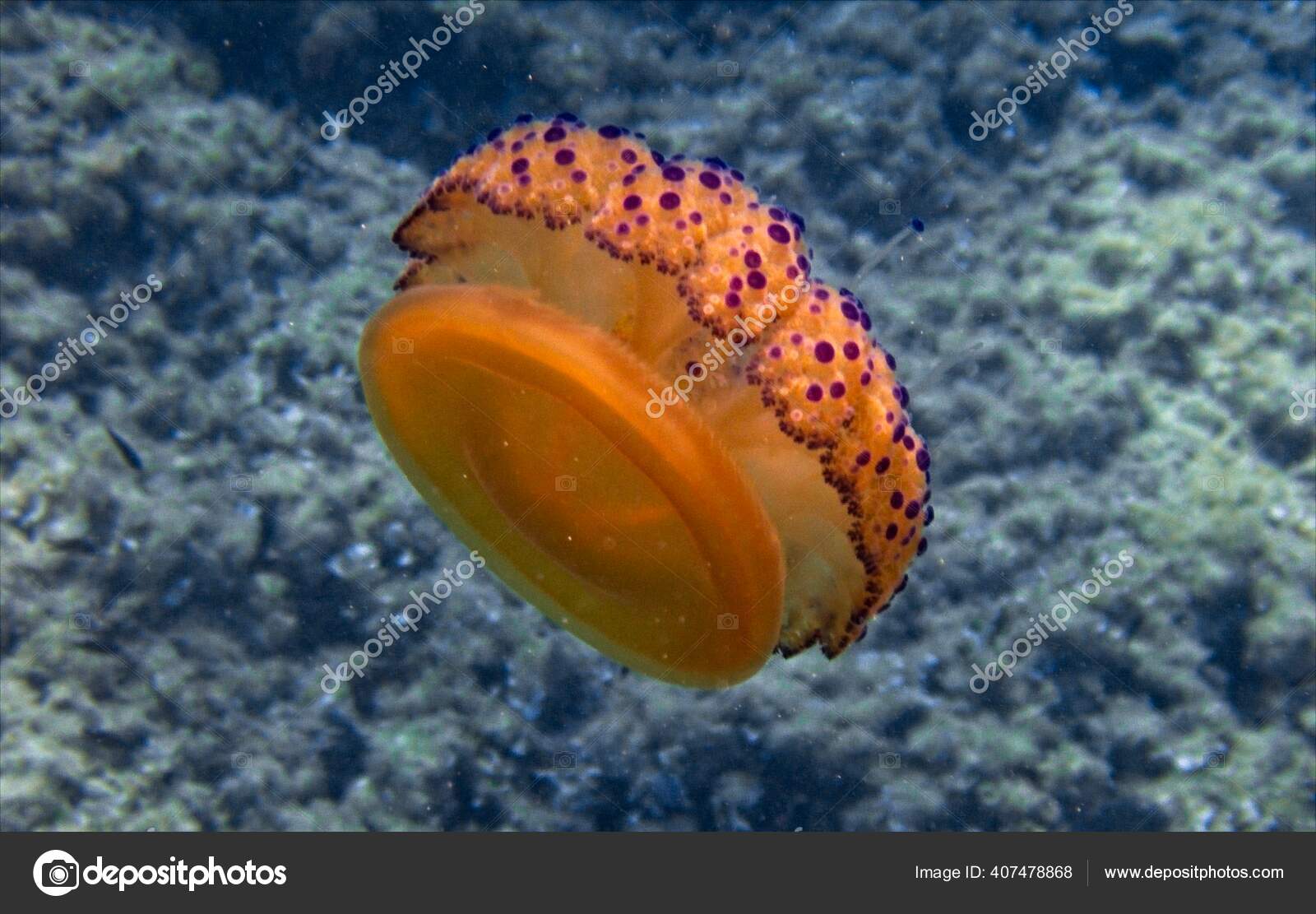 ポートフォリオ Photoworks ストック写真 イラストとベクターアート Depositphotos ポートフォリオ Photoworks ストック写真 イラストとベクターアート Depositphotos