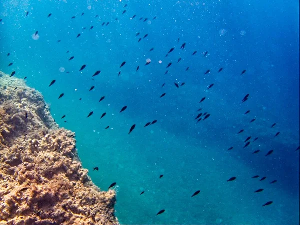 Aguas Azules Azules Mediterráneo —  Fotos de Stock